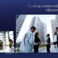 Cho Thuê Sàn Thương Mại Cao Cấp Tại Discovery Central, 67 Trần Phú, Ba Đình, Giá Tốt