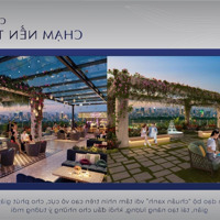 Cho Thuê Sàn Thương Mại Cao Cấp Tại Discovery Central, 67 Trần Phú, Ba Đình, Giá Tốt