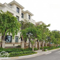 Giỏ Hàng Cn Biệt Thự Bason Giá Rẻ Nhất Thị Trường, Với Vị Trí Vàng Ngay Lõi Trung Tâm Q1.
