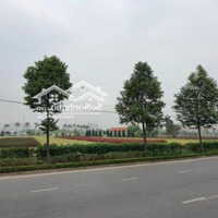 Chính Chủ Bán Lô Đất Full Thổ Cưdiện Tích67,5M2, Giá Cực Tốt Cho Nhà Đầu Tư Chỉ 4,5 Tỷ Đã Sở Hữu