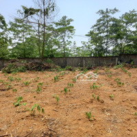 Bán Đất Tại Minh Quang, Ba Vì, Hà Nội, 1,5 Tỷ, 518,7M2 View Đẹp Giá Siêu Hời