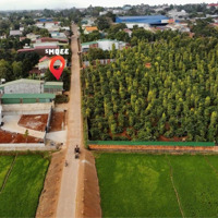 Bán Đất Đẹp 330M2 Tại Thị Trấn Phước An, 2,1 Tỷ, Krông Pắc, Đắk Lắk Siêu Hot!