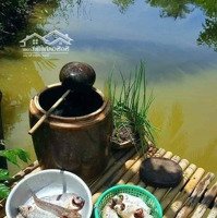 Cần Tiền Bán Nhanh Lô Đất Vườn Ven Kênh Nước Chỉ 480 Triệu