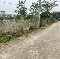 Bán Đất Đồng Vàng Phú Mãn Quốc Oai - Hà Nội