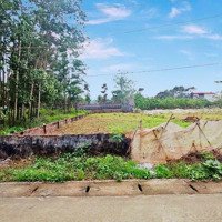 Bán Đất Đồng Vàng Phú Mãn Quốc Oai - Hà Nội