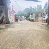 Chính chủ cần bán trục chính thôn tại Việt Hưng -  Văn Lâm, giá tốt: 0828218468