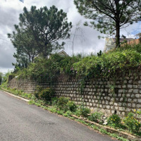 Đất Biệt Thựdiện Tích451M2 Full Thổ Cư Khu Bt Giáo Sư Đh Đà Lạt, View Đẹp, Đường Nhựa Ô Tô. Giá Bán 20 Tỷ