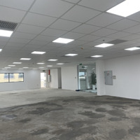 Tòa Nhà Văn Phòng. Diện Tích Cho Thuê Từ Tầng 1 - 5. Mỗi Tầng Khoảng 250 M2