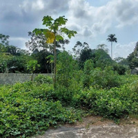 Bán Gấp Lô Đất Tiên Hội, Cao Dương, Thổ Cư, Đường Bám Betong, Phù Hợp Đầu Tư, Sinh Lời Cao