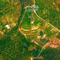 19.000M2 View Panorama Hồ Trị An , Gần Nhiều Khu Du Lịch Đẳng Cấp Quốc Tế , 499 Triệu/1000M2