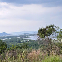 19.000M2 View Panorama Hồ Trị An , Gần Nhiều Khu Du Lịch Đẳng Cấp Quốc Tế , 499 Triệu/1000M2