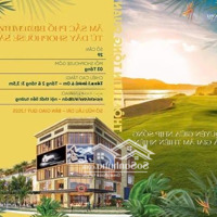 Đầu Tư Shophouse Sở Hữu Cỗ Máy In Tiền Ngay Tại Trung Tâm Vũng Tàu