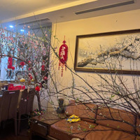 Chính Chủ Bán Gấp Căn 78M2 Cc Roman Plaza, 2 Phòng Ngủ 2 Vệ Sinhfull Nội Thất. Giá Tôi Bán 5,8 Tỷ.
