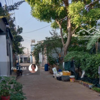 Bán Đất Gần Khu Công Nghiệp Giao Long, Bến Trediện Tích300M2 Thổ Cư Chỉ 680 Triệu Sổ Hồng Riêng
