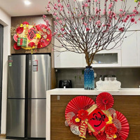 Bán Gấp Ch 2 Phòng Ngủtại A10-A14 Nam Trung Yên, 5 Tỷ, 66M2, View Đẹp