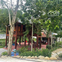 Nhượng Lại Khuôn Viên Nhà Vườn Gần 1Ha Tại Tiến Xuân, Thạch Thất, Hà Nội