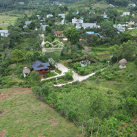 Nhượng Lại Khuôn Viên Nhà Vườn Gần 1Ha Tại Tiến Xuân, Thạch Thất, Hà Nội