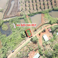Đất Thổ Cư 120M2, 220 Triệu, Sổ Riêng, Khu Dân Cư Đông Đúc