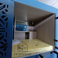 Cho Thuê Phòng Trọ Ở Ghép, Ktx, Box Cao Cấp Tiện Nghi, Có Máy Lạnh, Tp. Hcm