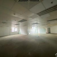 Chính Chủcho Thuê Văn Phòngtại Mặt Phố Hoàng Quốc Việt,Diện Tíchlinh Hoạt Từ 50M2 Trở Lên, Giá 100K/M2/Th