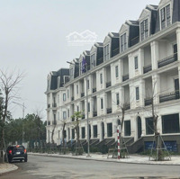 Giá Lợn Chết Căn Góc Xẻ Khe Mặt Ngoài Này 253 Triệu/M2