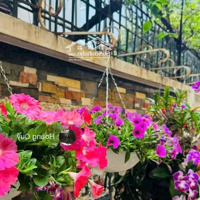 Biệt Thự Sân Vườn Kđt Trung Văn - Vinaconex 155.2M2* 5 Tầng Hoàn Thiện Đẹp Hầm Gara Rộng Chỉ 38 Tỷ