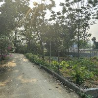 Bán Lô Đất 2 Sổ Mỗi Sổ 360. Tại Đông Yên Quốc Oai Hà Nội