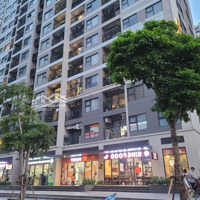 Shop Chân Đế Chung Cư 59M2 Giá Bán 6,9 Tỷ Đang Cho Thuê 31 Triệu Tại Vinhomes Ocean Park 1