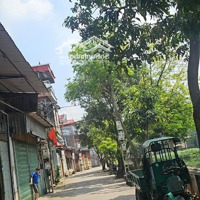 Xuất Hiện F0 Vuông Vắn Ngon Bổ Rẻ! Tiềm Năng Giá Trị Tăng Cao