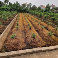 Chính Chủ Gửi Bán 1 Bước Ra Trục Chính 427 Kinh Doanh Đường Rộng 32 M ** Địa Chỉ: Nội Thôn -