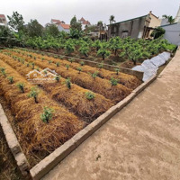 Chính Chủ Gửi Bán 1 Bước Ra Trục Chính 427 Kinh Doanh Đường Rộng 32 M ** Địa Chỉ: Nội Thôn -
