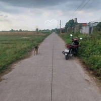 Bán Đất 157M2 Tại Bờ Kênh, Lê Minh Xuân, Bình Chánh, Hcm, Giá Siêu Hời 765 Triệu. Sổ Hồng Riêng
