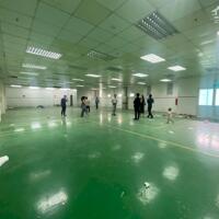 Cho thuê 200m2 xưởng phòng sạch tại Tích Sơn, Vĩnh Yên, Vĩnh Phúc