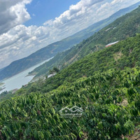 Đất View Sông Đồng Nai Sẵn Thổ Cư
