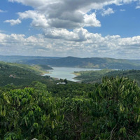 Đất View Sông Đồng Nai Sẵn Thổ Cư
