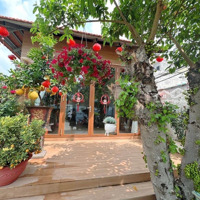 Vườn Lài - 1200M2 - (40X30)M - Full Thổ Cư - Đường Xe Hơi - Tương Lai Ra 2Mặt Tiền- Giá Hơn 20 Triệu/M