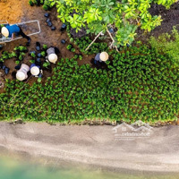 Nhận Booking Đa Dạng Loại Hình Tại Eco Retreat - Hot Nhất Long An