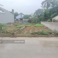 Chính Chủ Bán Duy Nhất Mảnh Đất Đại Trung, Cổ Đông Ngay Gần Ubnd Xã. 146M2 Chỉ 1Xtr
