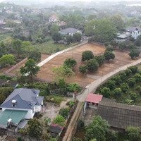 Bán Đất 146,6 M2 Tại Xã Thụy An, Ba Vì, Hà Nội, 8,5 Triệu / M2 Hot!