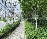 Em Cần Bán Biệt Thự Splendora 270M2 Cam Kết Giá Rẻ Nhất Thị Trường 220 Triệu/M2 Thiện Chí Vào Việc Luôn