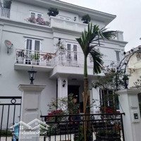 Em Cần Bán Biệt Thự Splendora 270M2 Cam Kết Giá Rẻ Nhất Thị Trường 220 Triệu/M2 Thiện Chí Vào Việc Luôn