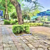 Siêu Rộng, Siêu Đẹp, Siêu Rẻ, Nhà Mp Nguyễn Văn Cừ Lb, 1000M,Mặt Tiền45M, Đầu Tư Chỉ 90 Tỷ.