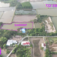 5000M2 Quy Hoạch Đất Ở, Có Đường Dự Phóng Qua Đất, Chỉ 3.5 Triệu/M2 Xã Bình Khánh, Cần Giờ