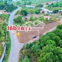 Bán Đất 160M2, Ngang 6M, Góc 2 Mặt Tiền Đường Nhựa Sông Thao - Bàu Hàm, Xã Bàu Hàm.