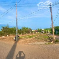 Bán Đất 160M2, Ngang 6M, Góc 2 Mặt Tiền Đường Nhựa Sông Thao - Bàu Hàm, Xã Bàu Hàm.