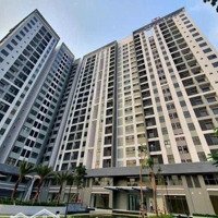 Cho Thuê Căn Hộ 2 Phòng Ngủ 56M2 Giá Siêu Hời Tại Đại Lộ Bình Dương, Thủ Dầu Một, Bình Dương