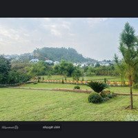 270M Giá Cực Rẻ Tại Đồng Vỡ, Phú Mãn,Quốc Oai. Gần Trung Tâm Hành Chính Hoà Lạc
