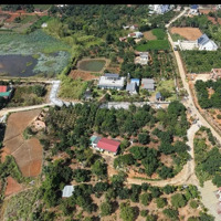 Bán Đất Sổ Riêng Ven Đà Lạt 599 Triệu 80M Thổ Cư View Hồ Sen, Đồi Thông Tại Đông Thông Lâm Hà