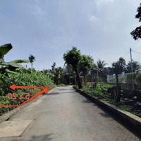 Bán Đất Tại Đỗ Xuân Hợp, Phước Long A , Quận 9 2,25 Tỷ, 100M2, Đường Oto, Cạnh Kdc Sầm Uất.