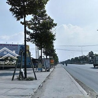 Bán Đất Tại Mỹ Phước Tân Vạn, 7 Tỷ, 345M2, Hàng Hiếm Tại Bến Cát, Bình Dương